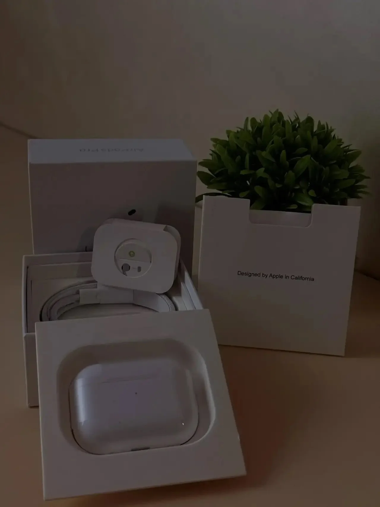 AirPods Pro 2 lux, фото 2